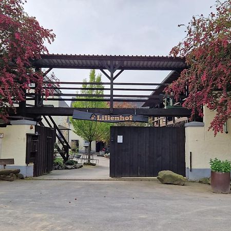 Moderne Ferienwohnung Black Beauty Auf Idyllischem Reiterhof Naehe Burg Eltz Munstermaifeld Экстерьер фото